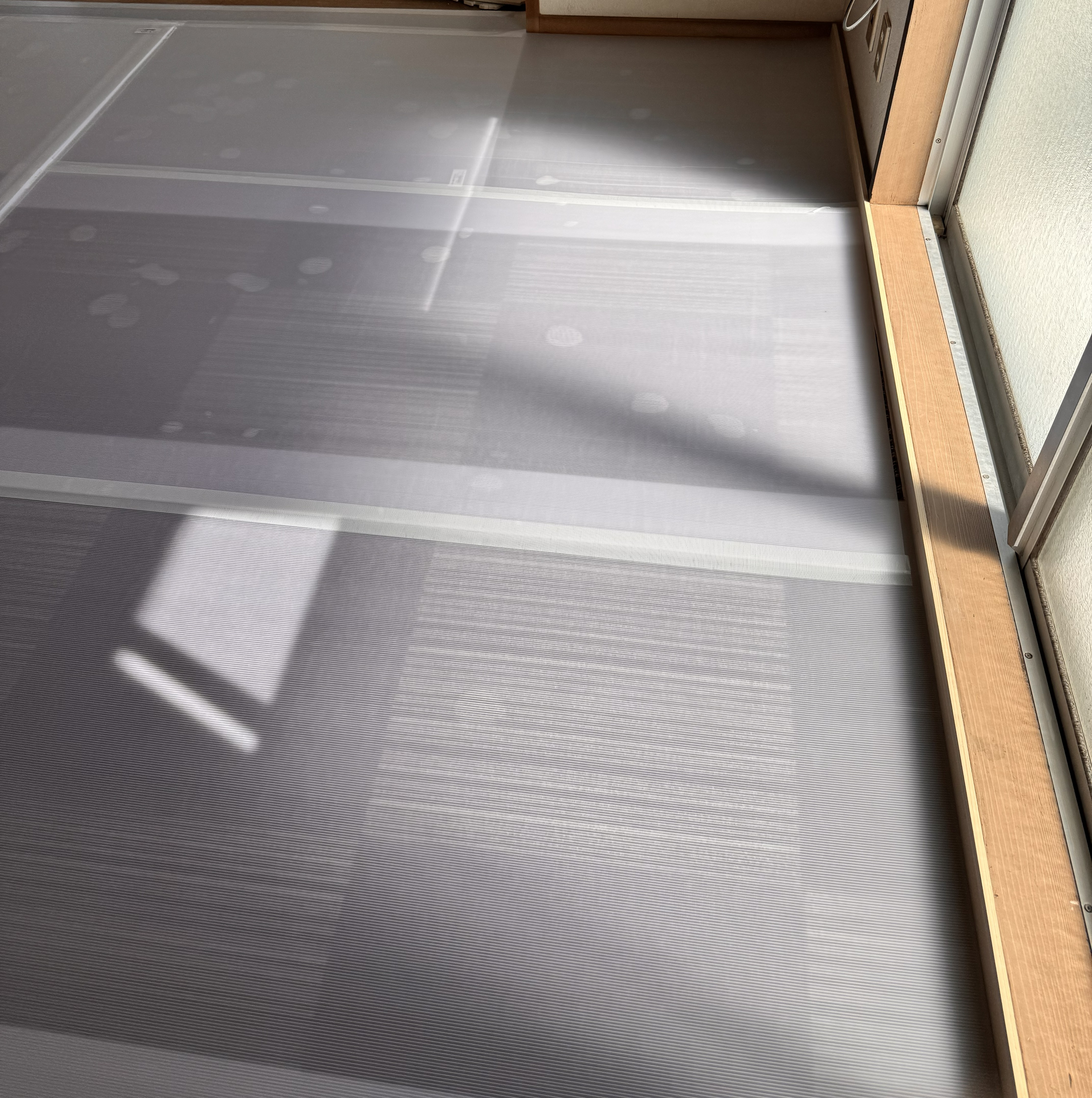 タイルカーペット 南側 養生